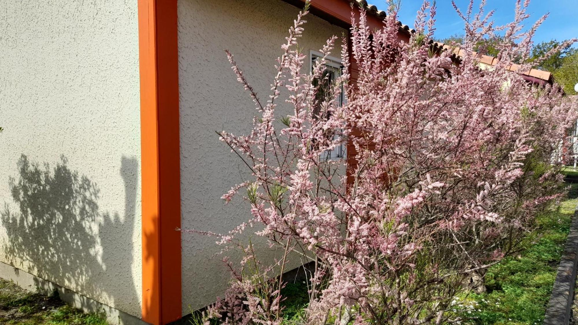 Residence Mes Amours D'Enfants - Les Villas Du Lac Soustons Luaran gambar